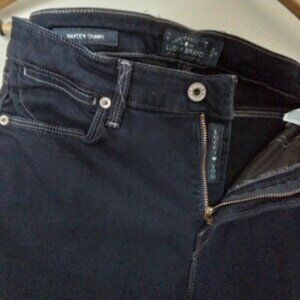 LUCKY BRAND HAYDEN SKINNY Jeans, Size 8/29 A, Dark blue